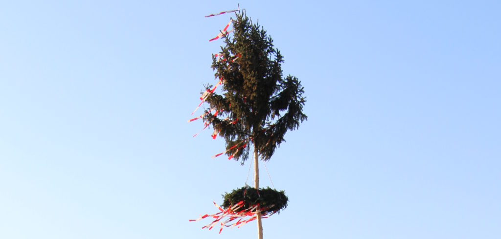 Maibaumaufstellen